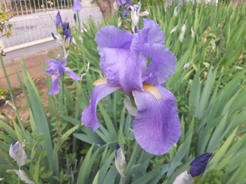 271678071 285107476941060 6001910579534678432 n