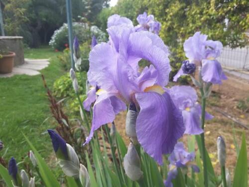 271725725 3174467426115760 8165373057108503899 n