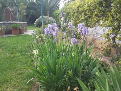 271800956 980210839581575 2162525118000306076 n