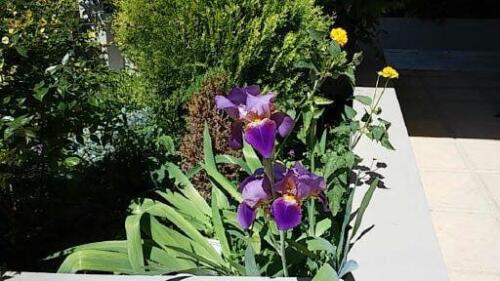 271889249 704513720545221 5480825834594032264 n