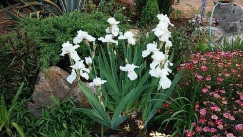 272045431 518054252824269 1201650828410210599 n