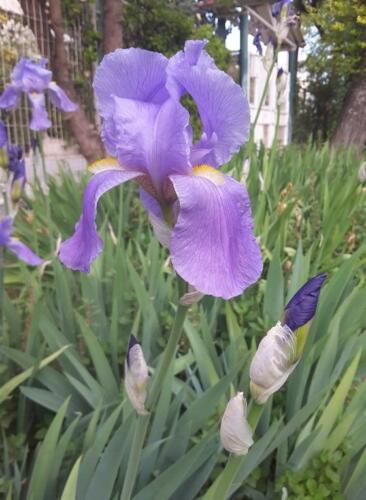 272246677 301857318628034 9203996553906320832 n