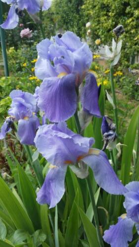 εικόνα Viber 2022-01-25 19-49-12-134