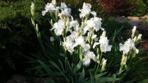 εικόνα Viber 2022-01-25 19-49-20-346