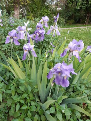 εικόνα Viber 2022-01-25 19-49-20-878