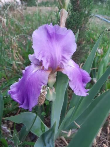 εικόνα Viber 2022-01-25 19-49-25-991