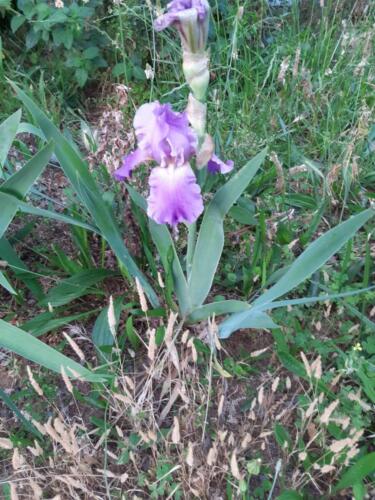 εικόνα Viber 2022-01-25 19-49-26-461