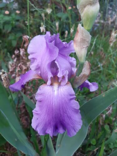 εικόνα Viber 2022-01-25 19-49-26-641