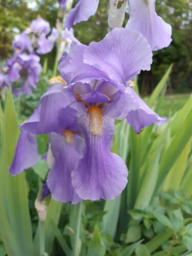 εικόνα Viber 2022-01-25 19-49-28-500