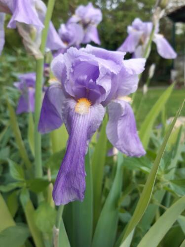 εικόνα Viber 2022-01-25 19-49-28-745