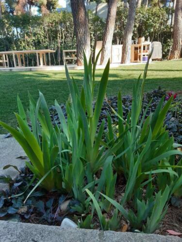 εικόνα Viber 2022-02-18 20-14-09-987