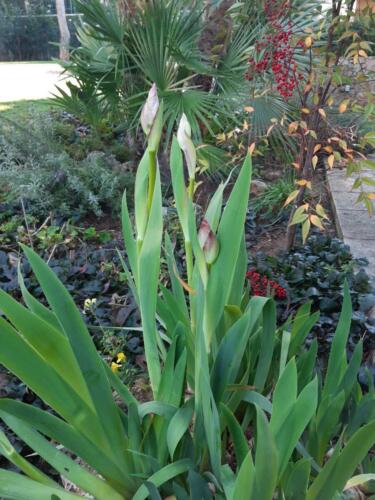 εικόνα Viber 2022-02-18 20-14-28-328