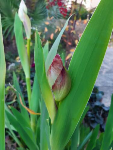 εικόνα Viber 2022-02-18 20-14-28-659